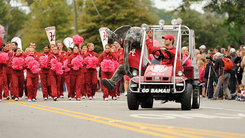Fraternity & Sorority Homecoming Float Ideas